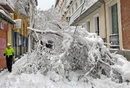 Мъж минава покрай паднали дървета след обилен снеговалеж в центъра на Мадрид, Испания.