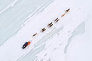 Кадър от надпреварата с кучешки шейни Iditarod в Аляска, САЩ.