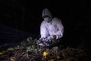 От 2007 г. ловците на вируси са хванали хиляди прилепи във Филипините за анализ и са открили нови вируси по тях, включително коронавируси, хантавируси, хенипавируси и поксвируси, и всичко това с помощта на учени от Япония.