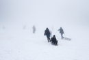 Хората се радват на снега сред мъглата в планината Блида, Алжир.
