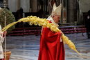Папа Франциск отслужи литургия за Палмовата неделя, която отбелязва навлизането в Страстната седмица за католиците, като отбеляза, че това е втората Страстна седмица в условията на пандемия от новия коронавирус, предаде ДПА, цитирана от БТА.<br /><br />"Миналата година бяхме шокирани, тази година сме подложени на изпитание", каза той.