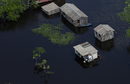 Град Какао Перейра беше наводнен в щата Амазонас, Бразилия.
