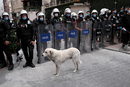 Турската полиция за борба с безредиците по време на демонстрация по повод осмата годишнина от протестите в парка Гези в Истанбул, Турция