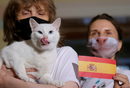 Котката Ахил, за която се смята, че може да предсказва резултатите от Евро 2020. Санкт Петербург, Русия