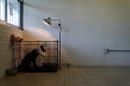 Бездомно куче, претърпяло операция за стерилизация, се вижда в клетка в приюта "Doggies of Santa Lucia", управляван от мексиканската армия в необитаема сграда на детска градина, създаден след като архитектите и работниците на летището в Мексико забелязали много бездомни кучета, които се скитат близо до строителната площадка, в Зумпанго де Окампо, Мексико.