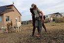 29-годишният Джей Станли във фермата си за алпаки в Уестклиф, Колорадо, САЩ.