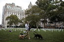Мъж разхожда кучета през поле, пълно с вази с бели цветя, които са част от инсталацията "Хиляда и петдесет вази, пълни с бели цветя, представляващи 1050 жертви на насилие с огнестрелно оръжие в Ню Йорк през миналата година" в парка "Батъри" в Ню Йорк, САЩ