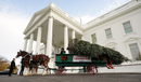 Коледната елха пристигна в Белия дом във Вашингтон.
