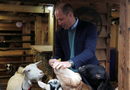 Британският принц Уилям, херцог на Кеймбридж, храни кози по време на посещението си в седалището на младежка благотворителна организация в Лийдс, Великобритания.