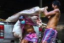 Месари разтоварват свинско месо от камион на пазар на фона на съобщение на тайландските власти за африканска чума по свинете, Банкок, Тайланд.