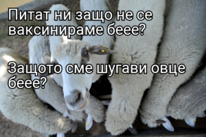 Питат ни защо не се ваксинираме беее? Защото сме шугави овце беее? 
