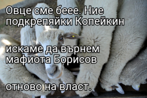 Овце сме беее. Ние подкрепяйки Копейкин искаме да върнем мафиота Борисов отново на власт.
