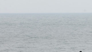 Издирва се моряк, изчезнал в Черно море