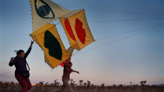 Шабла събира хвърчилата на фестивал