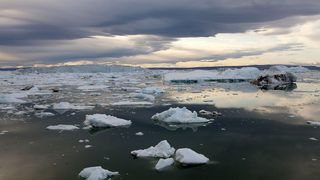 Учени: Бързото топене на леда в Арктика е 70% заради човешка намеса