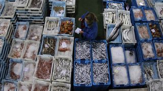 Все повече британци правят устойчив избор на риба