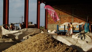 Фотогалерия: Фестивал на солта в бургаските солници