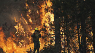 Пожарът в Калифорния заплашва питейната вода на Сан Франциско и гигантските секвои