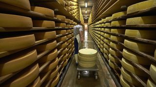 Фотогалерия: Къде се прави сиренето "Грюер"