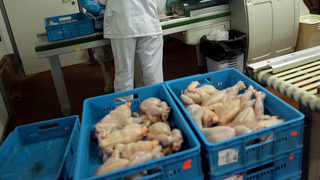 Няма открито пилешко месо с хормони, твърдят от агенцията по храните