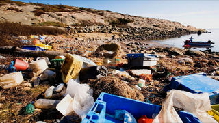 Видео от Европарламента: Найлоновата торбичка - враг на природата