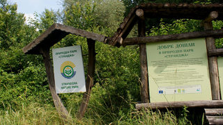 Община Болярово засажда 600 декара широколистни гори в полите на <span class="highlight">Странджа</span>
