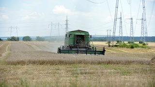 Зърнопроизводителите настояват да не се спекулира с добива на зърно