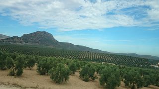 Фотогалерия: Величието на Андалусия, Южна Испания