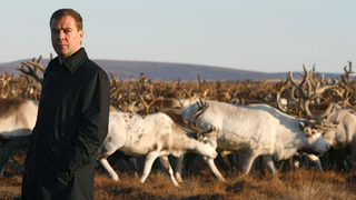 В Чукотка контрират санкциите на Запада с лов на още 10 000 елена