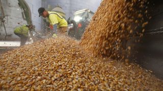 Русия премахна износните мита за зърно