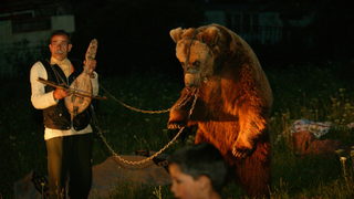 Фотогалерия: След танца на мечките над Белица