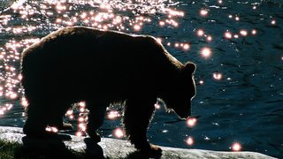 Фотогалерия: След танца на мечките над Белица