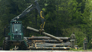 Камионите с дървесина ще се следят с GPS устройства