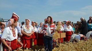 Очаква се добра реколта на <span class="highlight">пшеница</span>, обяви земеделският министър Десислава Танева