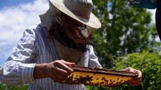 Близо 2700 <span class="highlight">пчелари</span> получиха помощ заради лошото време