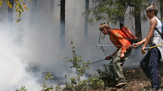 4 хиляди декара храсти и треви горят край Лесово
