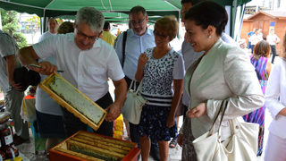 Пчеларите ще получат право на компенсации по програмата за селските райони