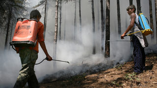 Изгасен е пожарът край елховското село Вълча поляна