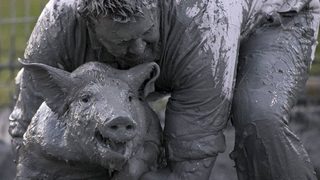 Фотогалерия: Калните борби на фестивала на прасето