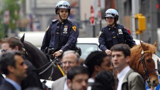 Защо Ню Йорк вложи 30 млн. долара в полицейска конюшня