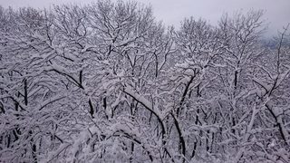 Зима в София