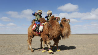 Фотогалерия: Да влезеш в "Гинес" на камила