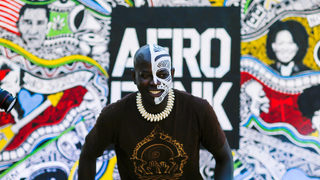 Фотогалерия: Афропънк фестивал в Ню Йорк