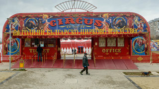 Цирк "Балкански" издигна високотехнологично шапито без колони