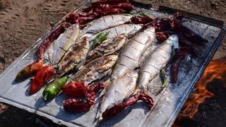 В рибата и мидите в България няма токсини над нормата, твърди проучване