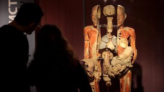 Ирландски учени откриха нов орган в човешкото тяло