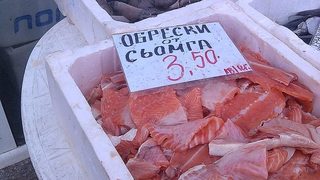 Език свещен на моите деди...