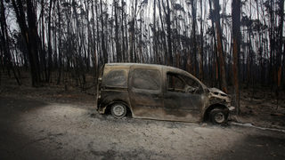Фотогалерия: Пожарите в Португалия - "най-голямата трагедия, която страната помни"