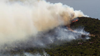 България ще изпрати огнеборци и техника в Черна гора за справяне с горските <span class="highlight">пожари</span>