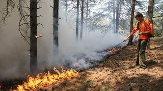Министерството <span class="highlight">на</span> горите напомня, че 1000 лв. е глобата за палене <span class="highlight">на</span> огън в гората